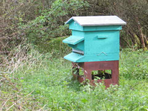 HOME RC 20180406 PG04 07340 x