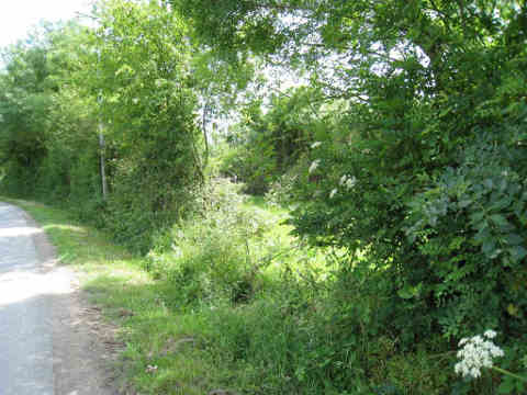 l'entrée du terrain