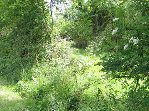 l'entrée du terrain