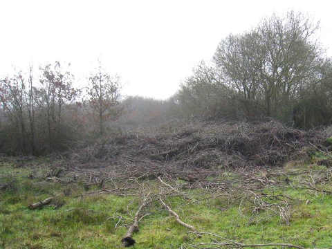 état du terrain après et avant nettoyage