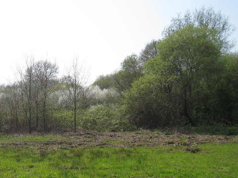 état du terrain après et avant nettoyage