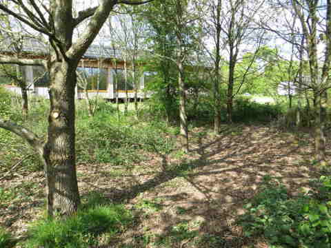 sentier gagné sur les ronciers avec la maison en arrière plan