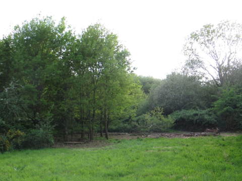 à côté de la maison (avant)