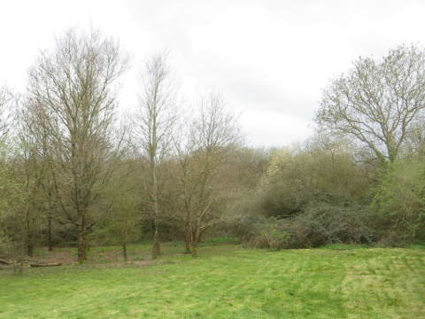 à côté de la maison (après)